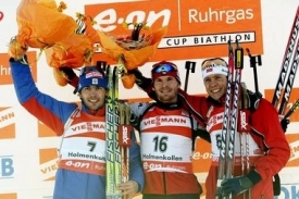 slesa_holm_2008